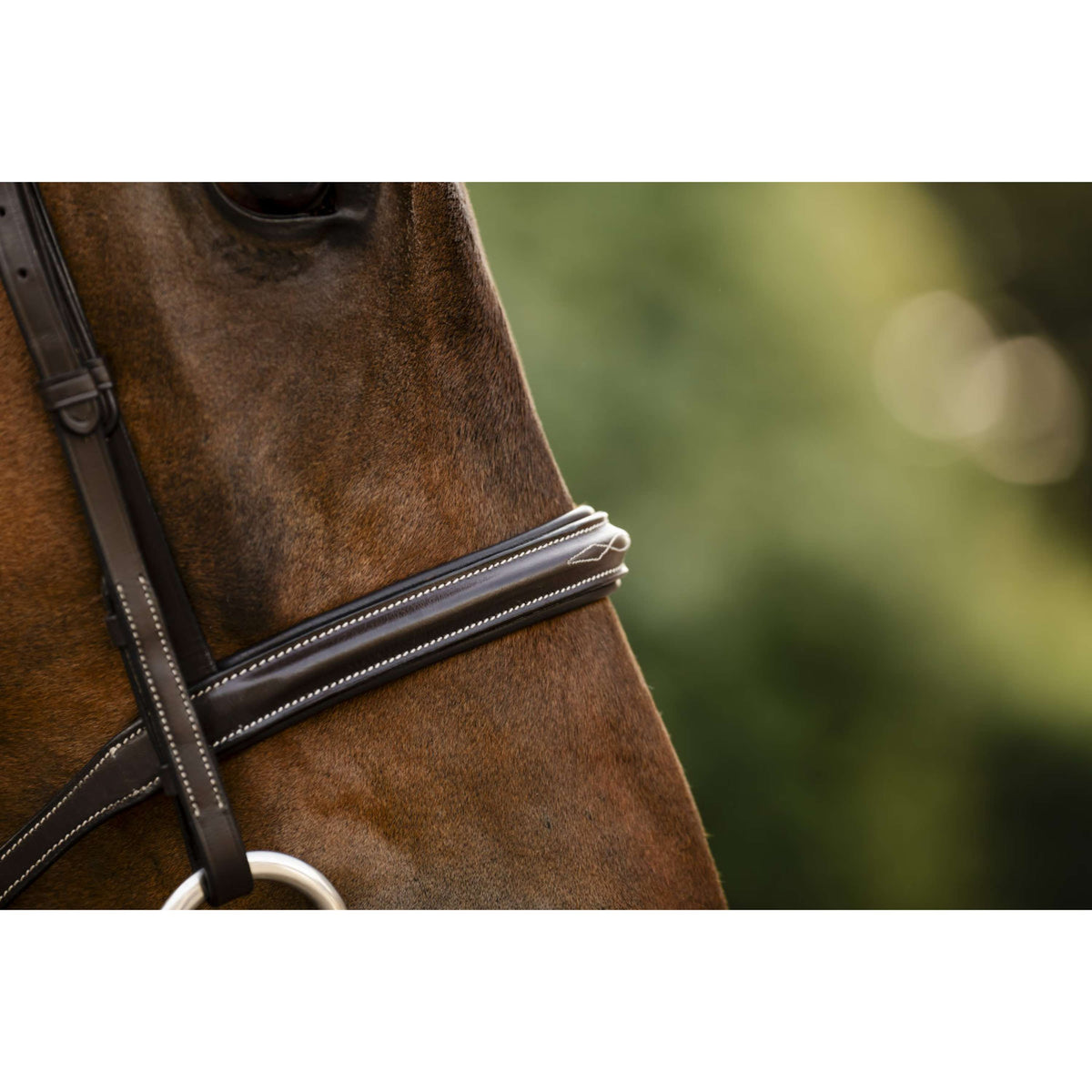 Horseware Bride Hunter Havana Brown