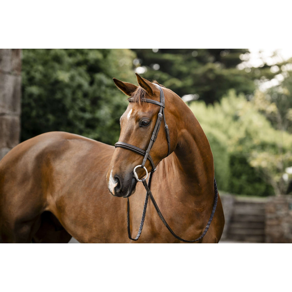 Horseware Bride Hunter Havana Brown