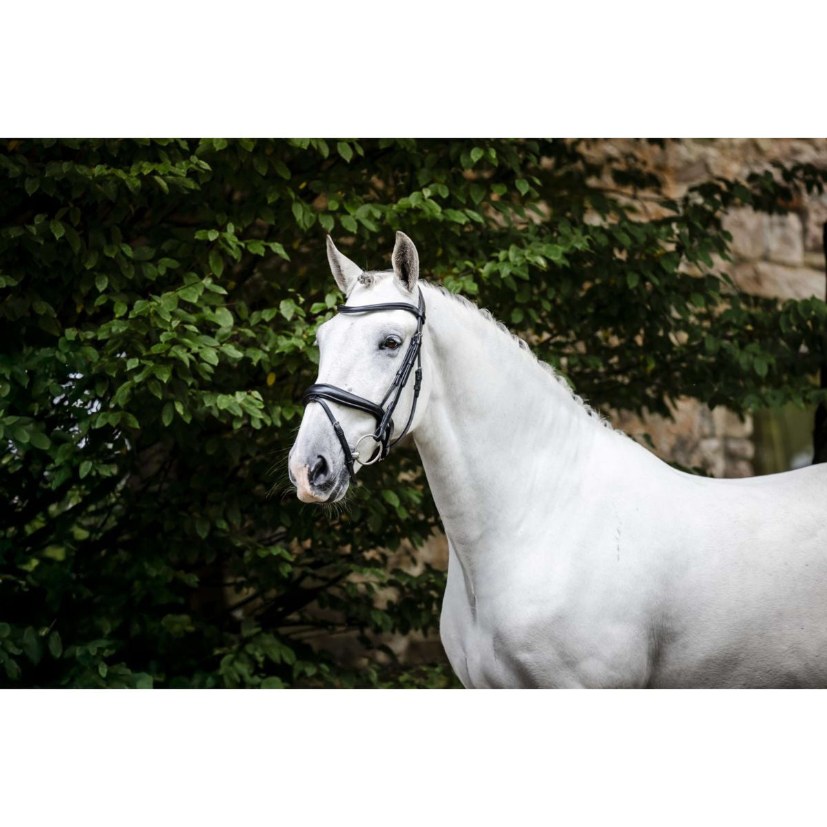 Horseware Bride Pony Flash Noir