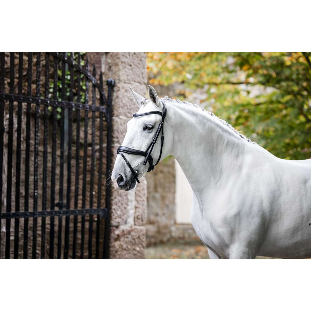 Horseware Bride Pony Flash Noir