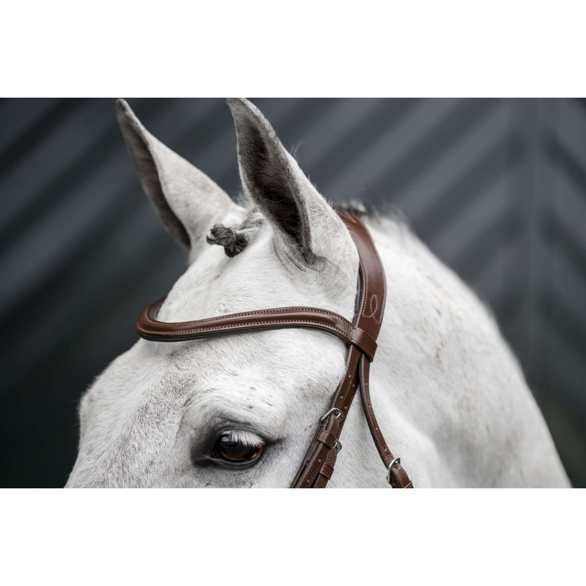 Horseware Bride Dressage Marron