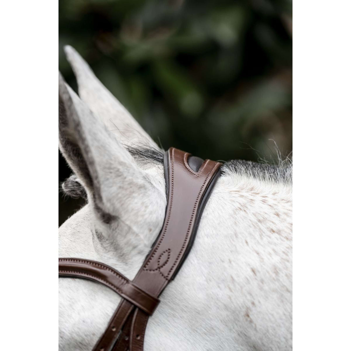 Horseware Bride Dressage Marron
