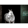 Horseware Micklem Bitless Bridle Noir