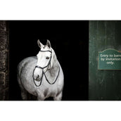 Rambo Micklem Bitless Bridle Noir