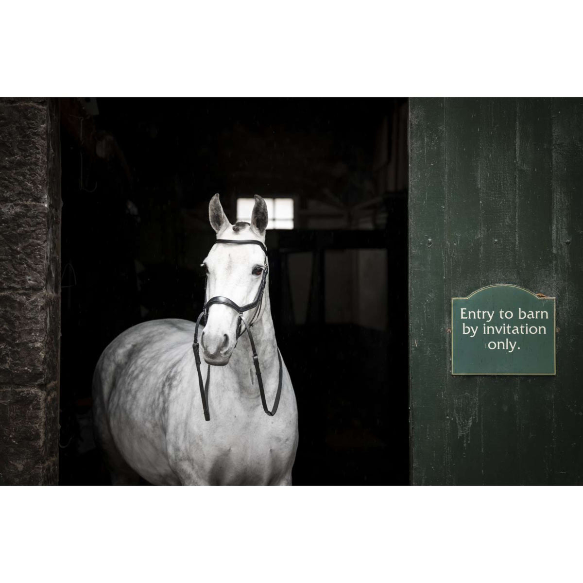 Rambo Micklem Bitless Bridle Noir