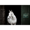 Horseware Micklem Bitless Bridle Marron