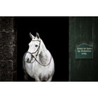 Horseware Micklem Bitless Bridle Marron