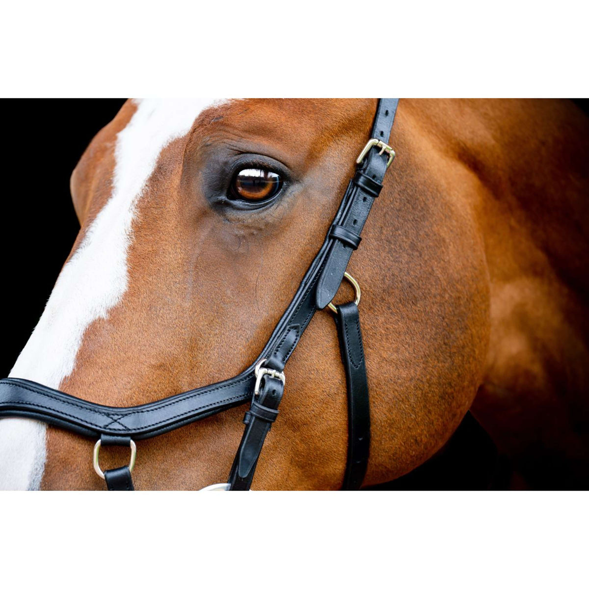 Rambo Micklem Competition Bridle Nouveau Noir