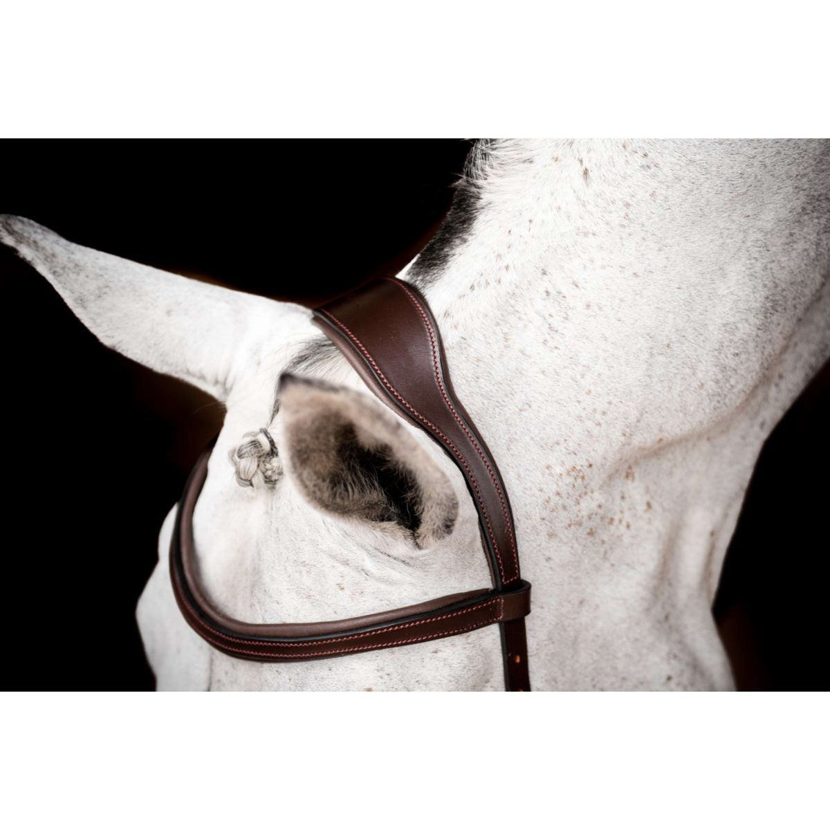 Bride Rambo Micklem Deluxe Competition (Marron) - privatespo Bride Rambo Micklem Deluxe Competition (Marron) - privatespo