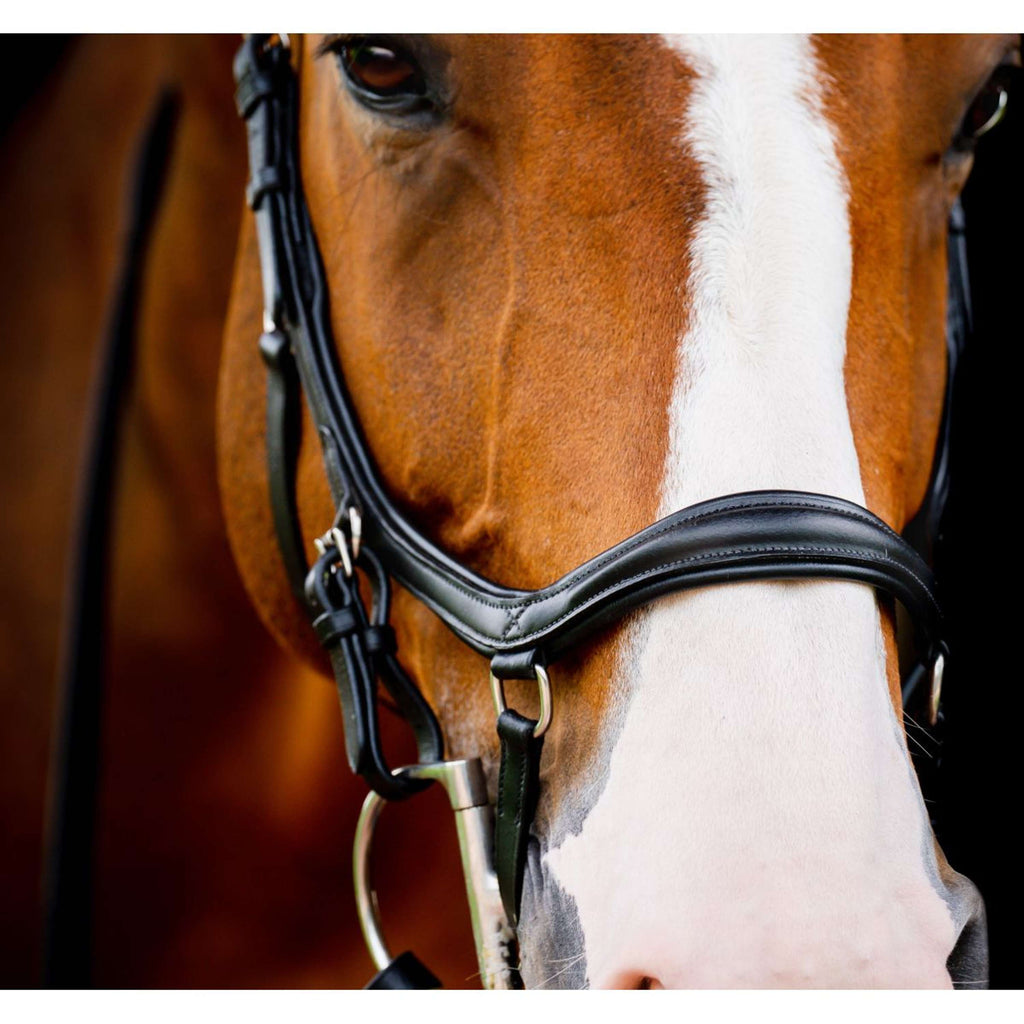 Horseware Micklem Diamond Competition Bridle Nouveau Noir