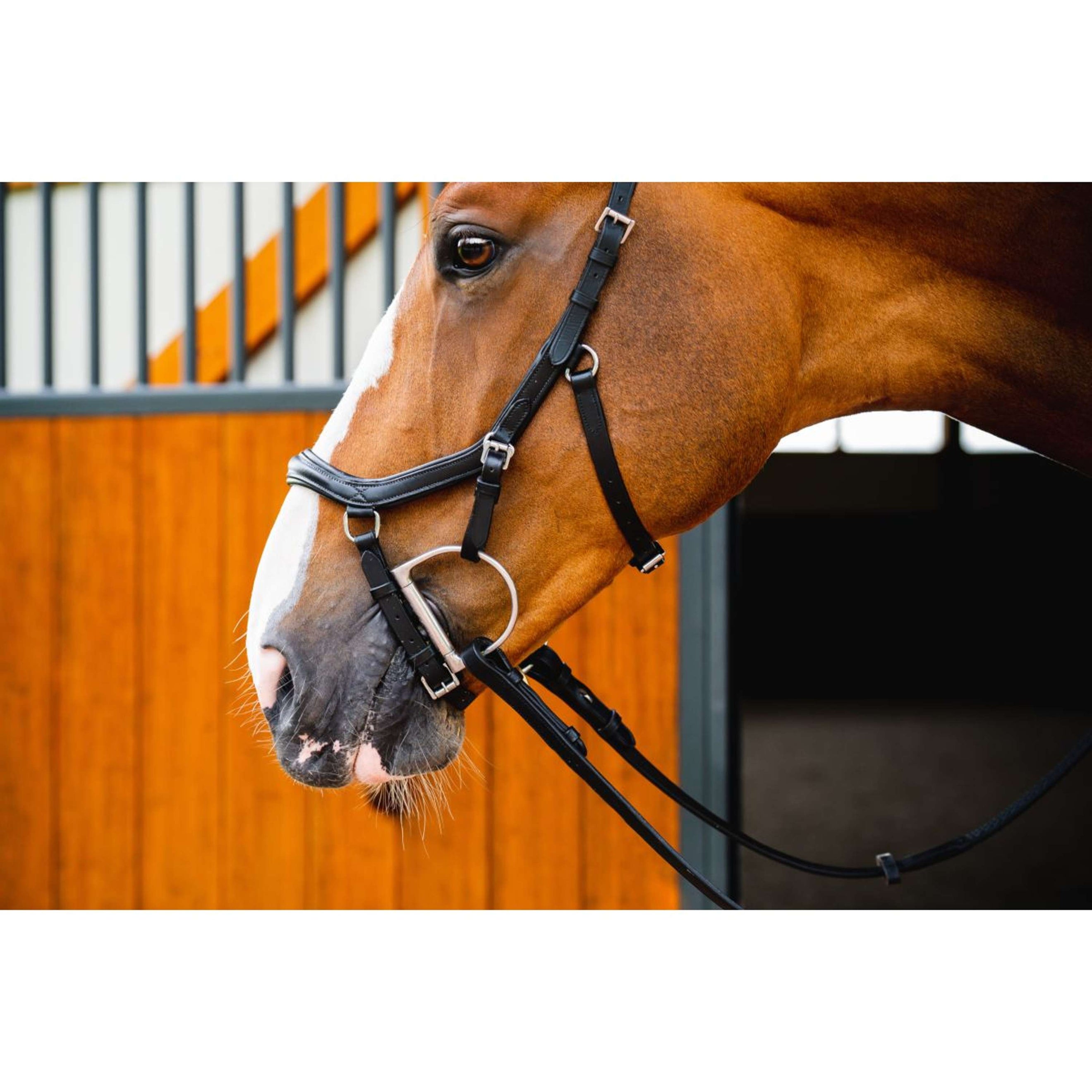 Rambo Micklem Diamond Competition Bridle Nouveau Noir Rambo Micklem Diamond Competition Bridle Nouveau Noir