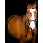 Rambo Micklem Deluxe Competition Bridle Nouveau Noir