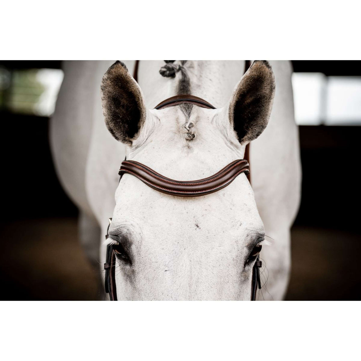 Rambo Micklem Deluxe Competition Bridle Nouveau Dark Havana