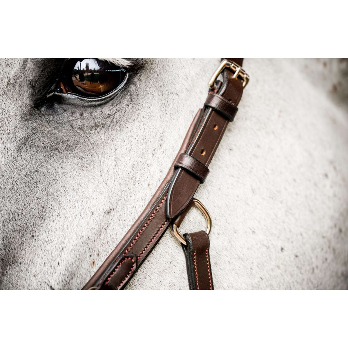 Rambo Micklem Deluxe Competition Bridle Nouveau Dark Havana