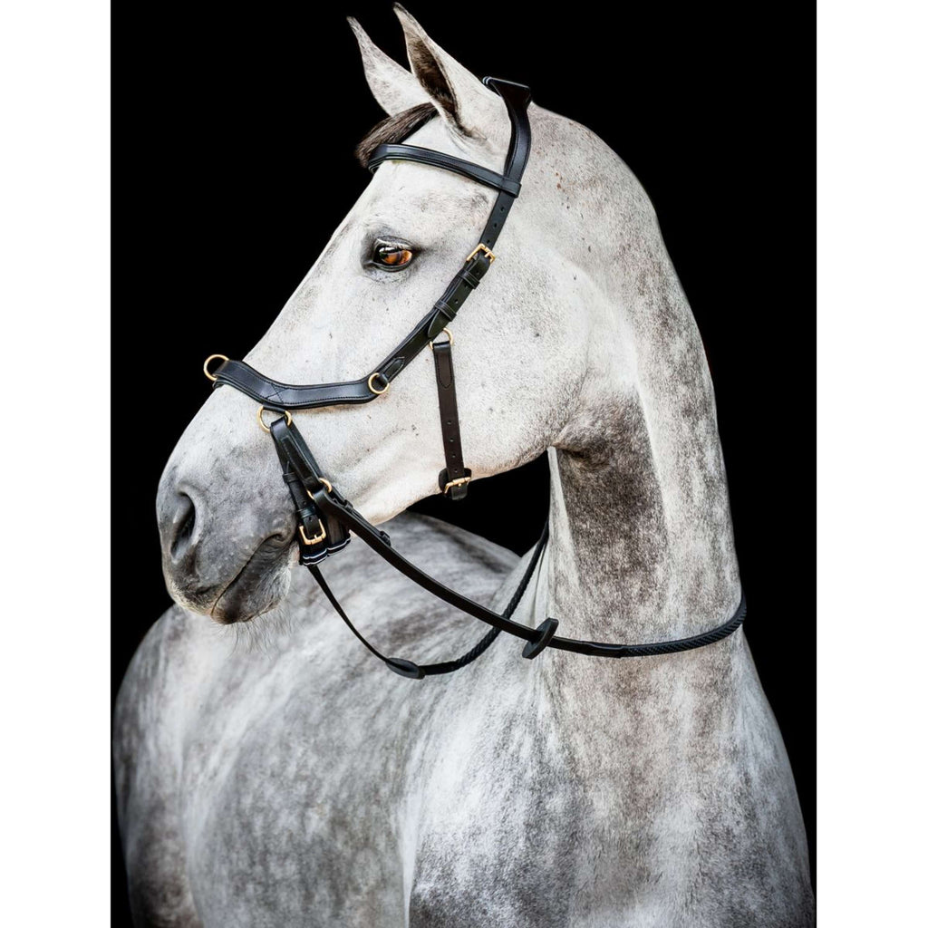 Horseware Micklem Multi Bridle Nouveau Noir