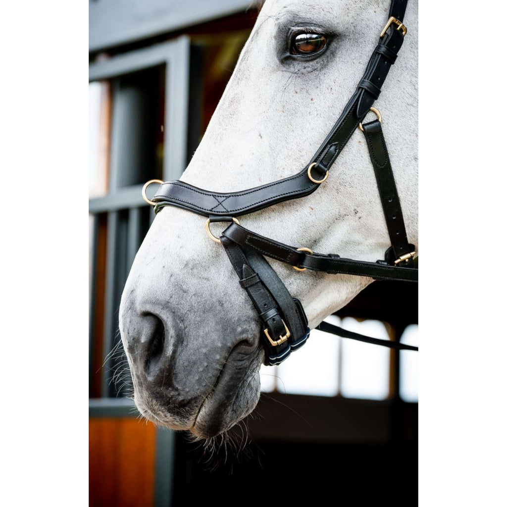 Horseware Micklem Multi Bridle Nouveau Noir