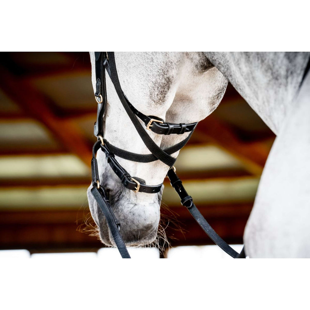 Horseware Micklem Multi Bridle Nouveau Noir