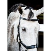 Rambo Micklem Multi Bridle Nouveau Noir