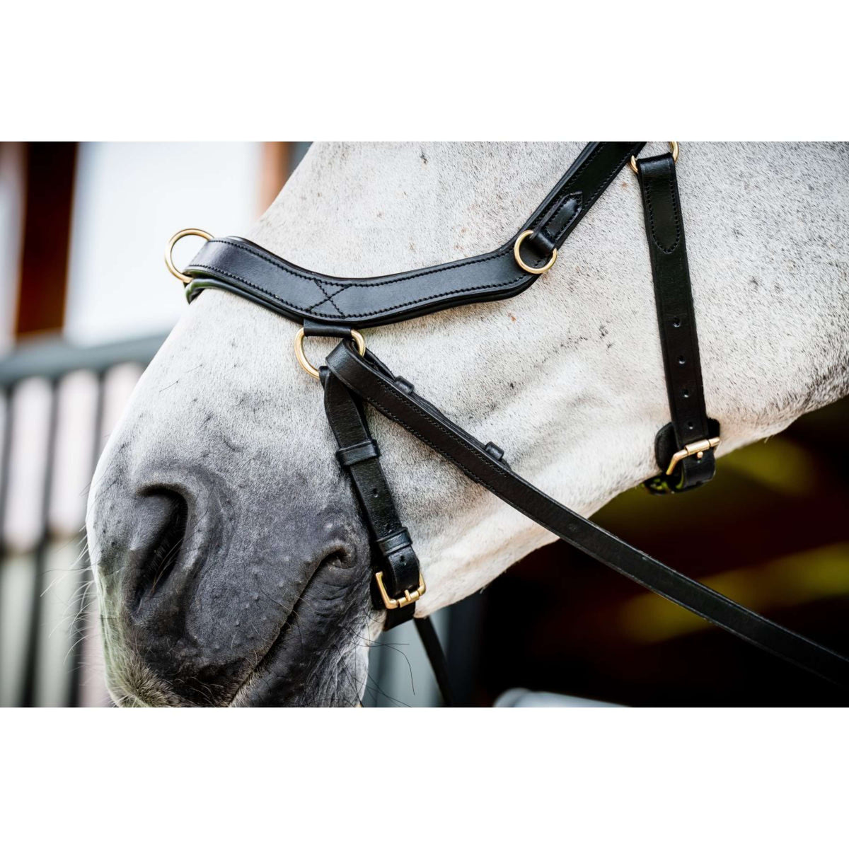 Rambo Micklem Multi Bridle Nouveau Noir