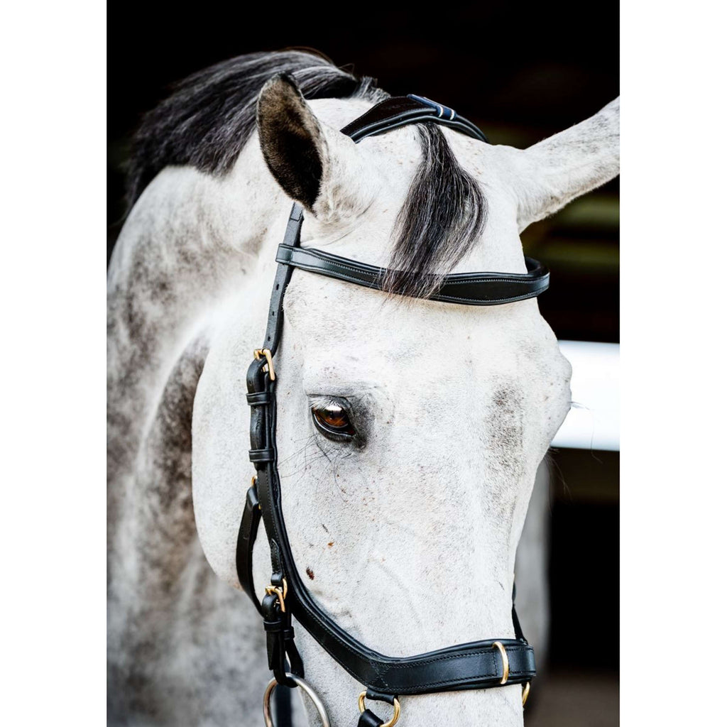 Horseware Micklem Multi Bridle Nouveau Noir