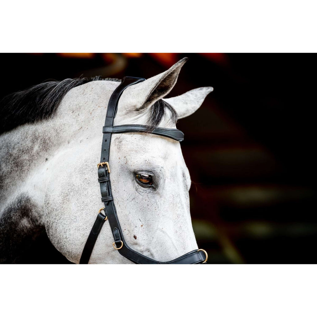 Horseware Micklem Multi Bridle Nouveau Noir
