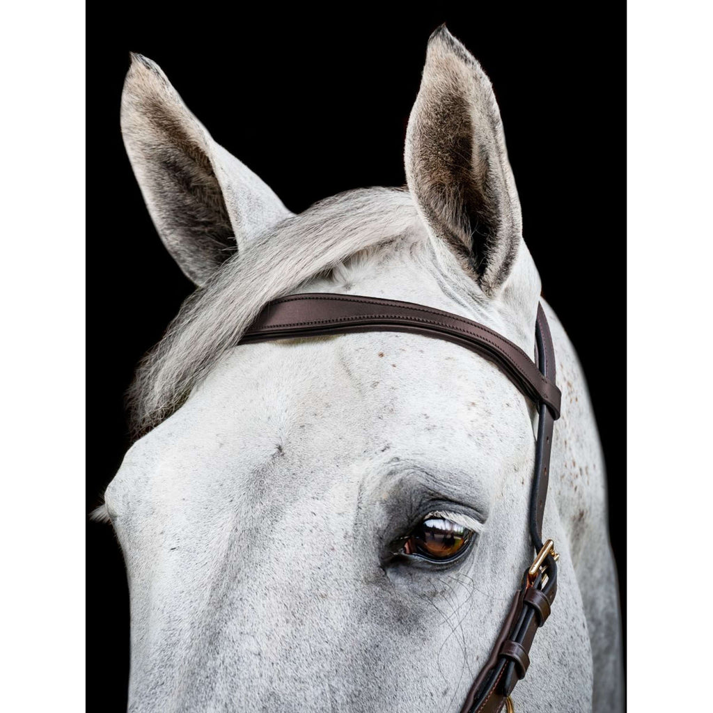 Horseware Micklem Multi Bridle Nouveau Dark Havana