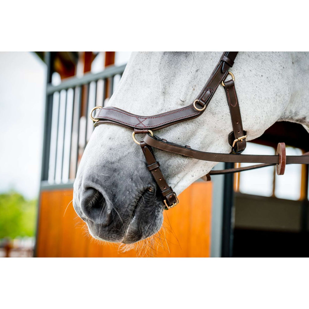 Horseware Micklem Multi Bridle Nouveau Dark Havana