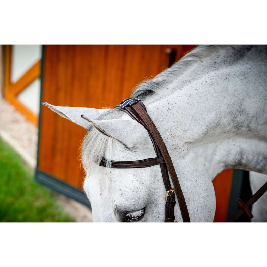 Horseware Micklem Multi Bridle Nouveau Dark Havana