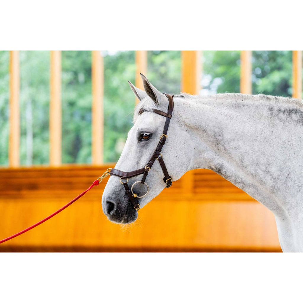 Horseware Micklem Multi Bridle Nouveau Dark Havana