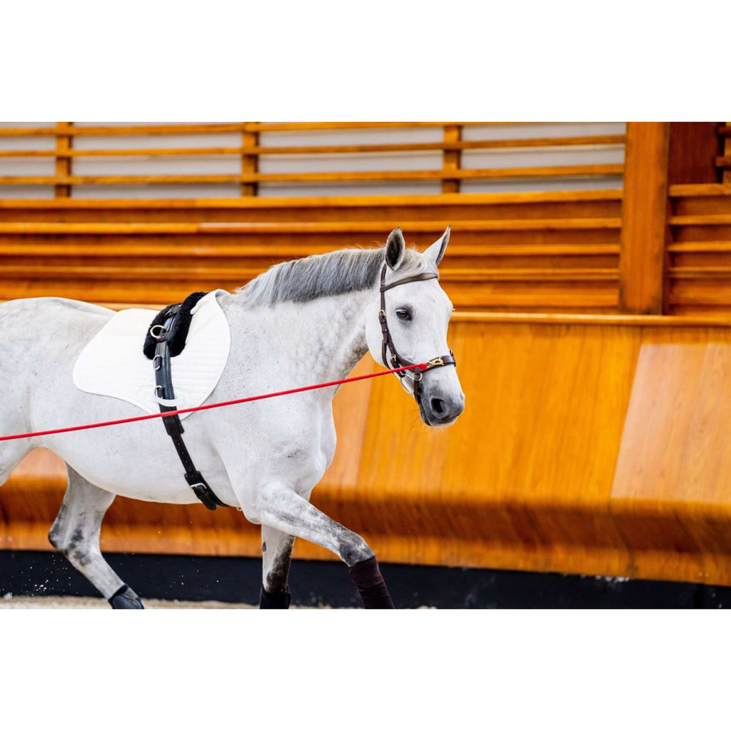 Horseware Micklem Multi Bridle Nouveau Dark Havana