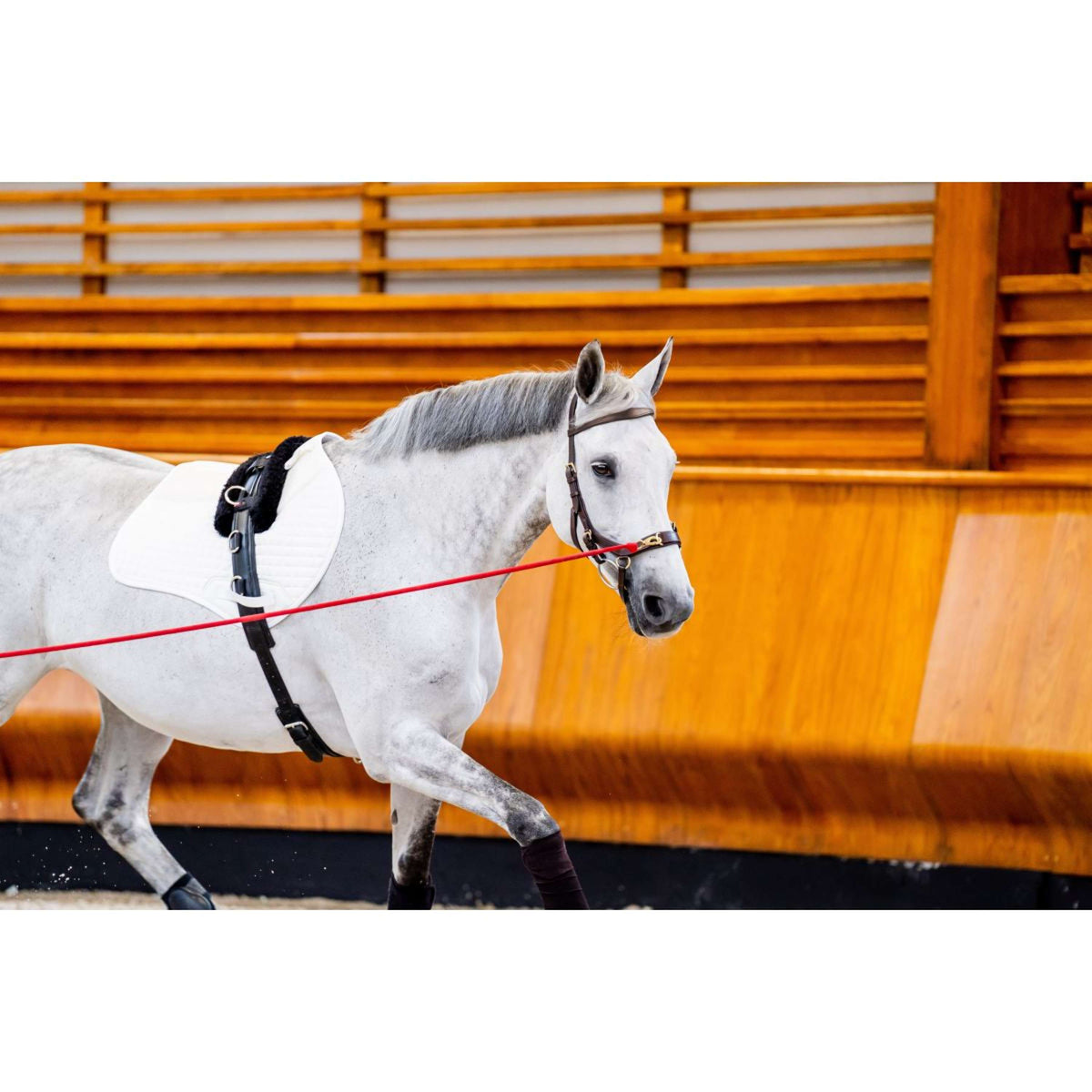 Rambo Micklem Multi Bridle Nouveau Dark Havana