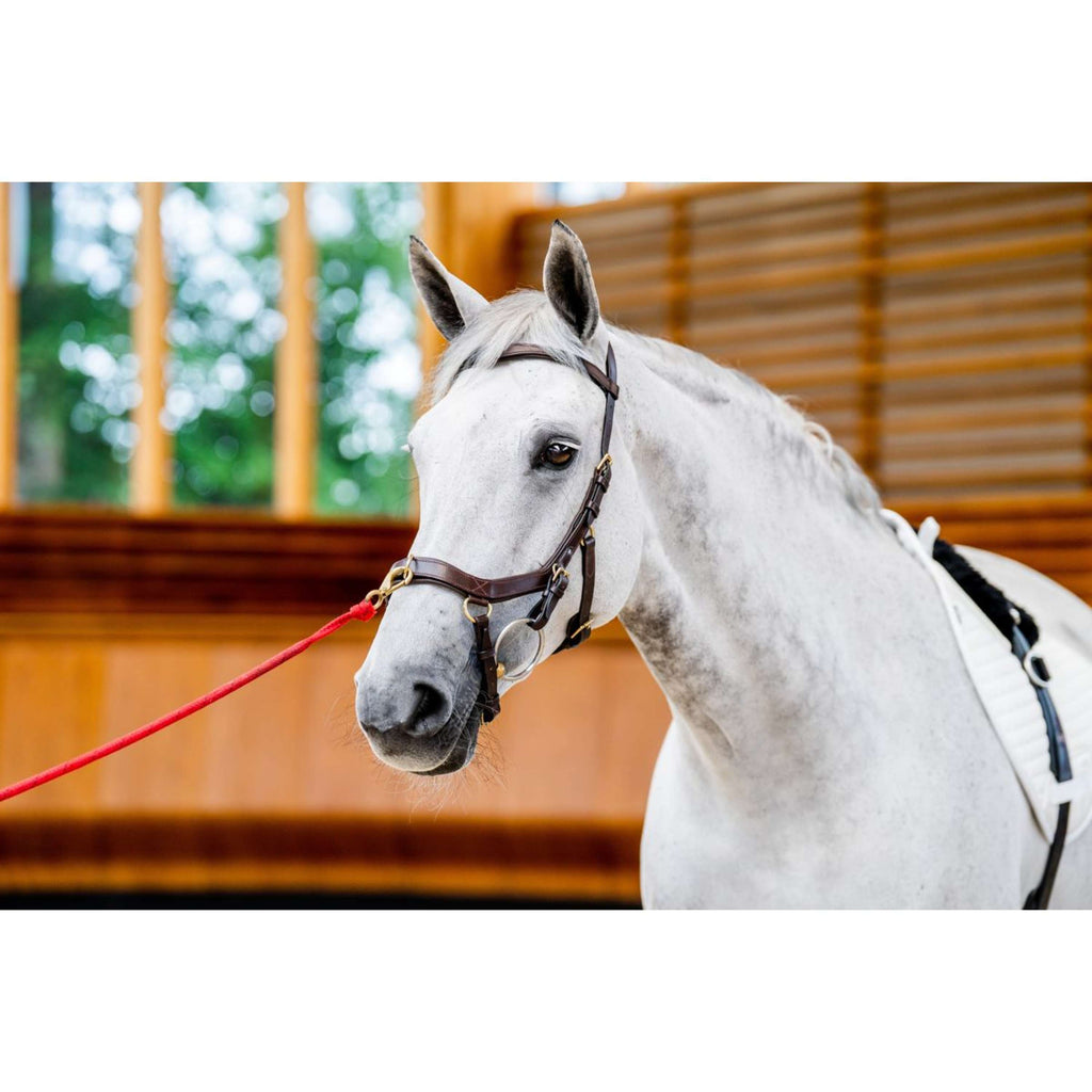 Horseware Micklem Multi Bridle Nouveau Dark Havana