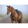 Horseware Micklem Collier de Chasse avec Martingale Noir