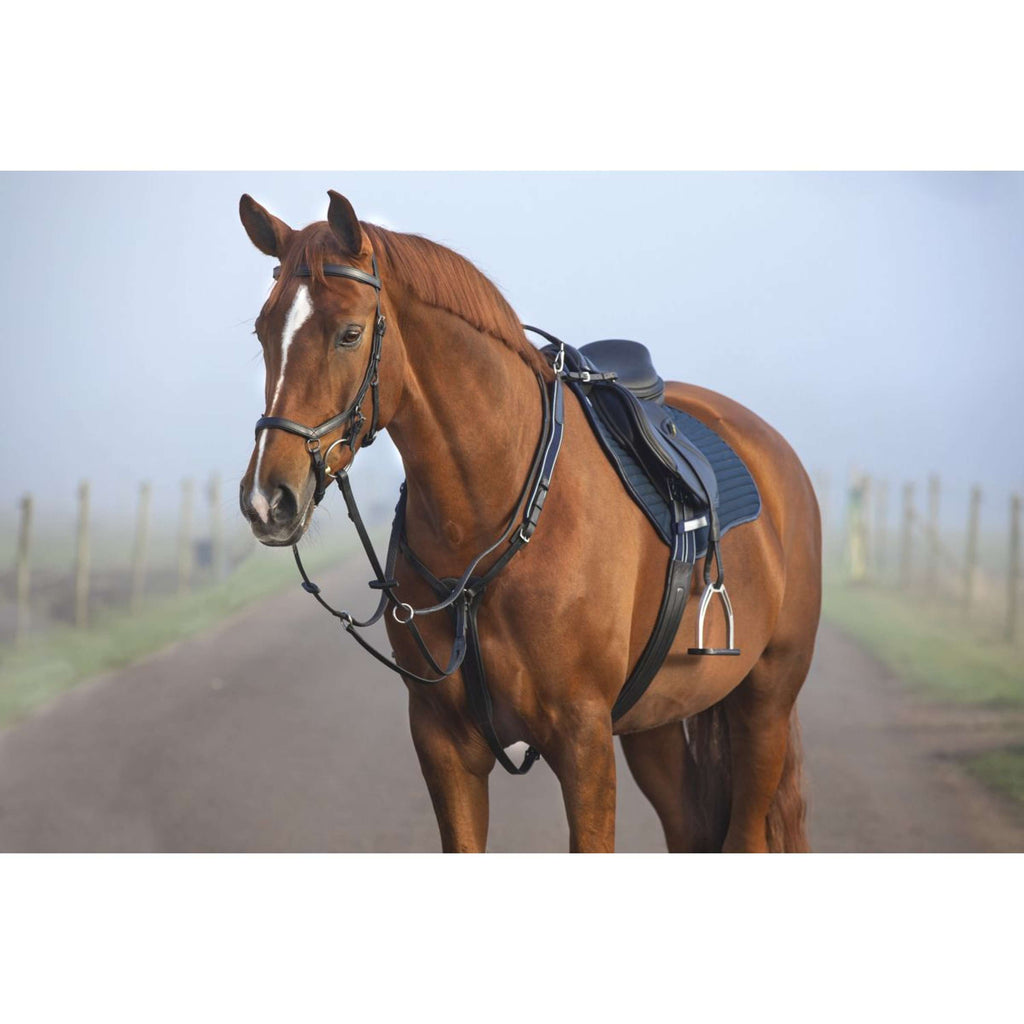 Horseware Micklem Collier de Chasse avec Martingale Noir
