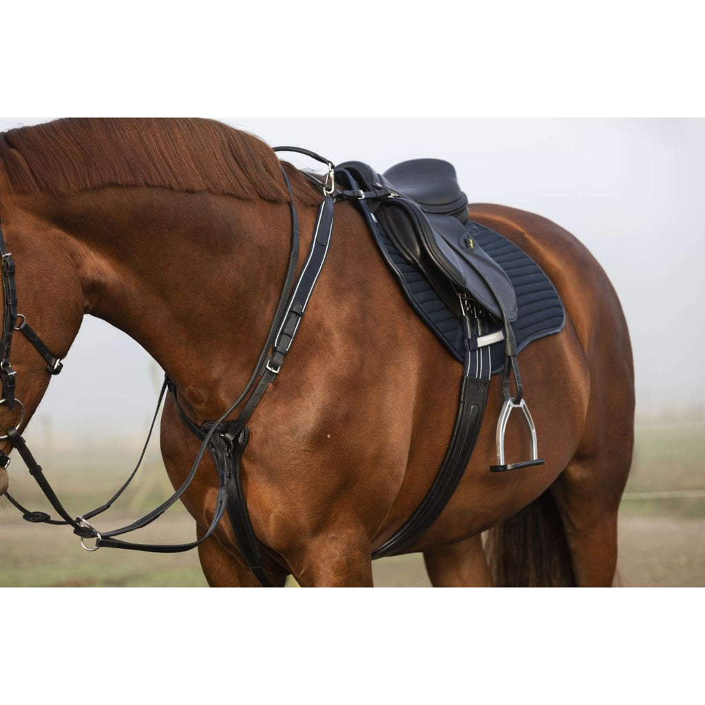 Horseware Micklem Collier de Chasse avec Martingale Noir