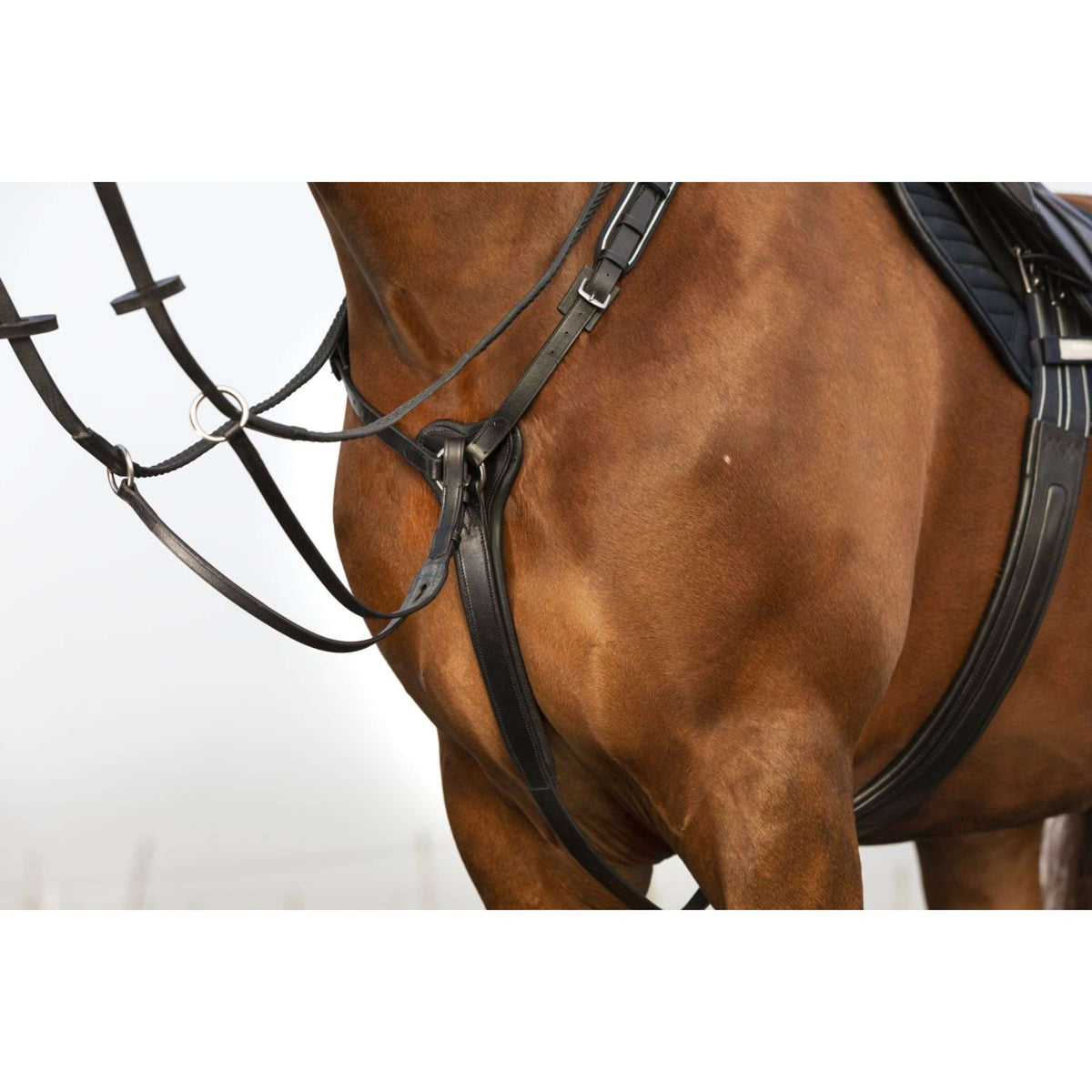 Rambo Micklem Collier de Chasse avec Martingale Noir