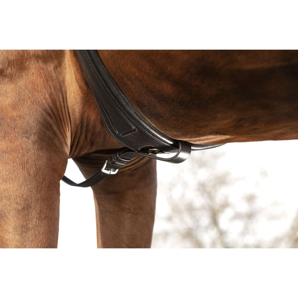 Horseware Micklem Collier de Chasse avec Martingale Noir