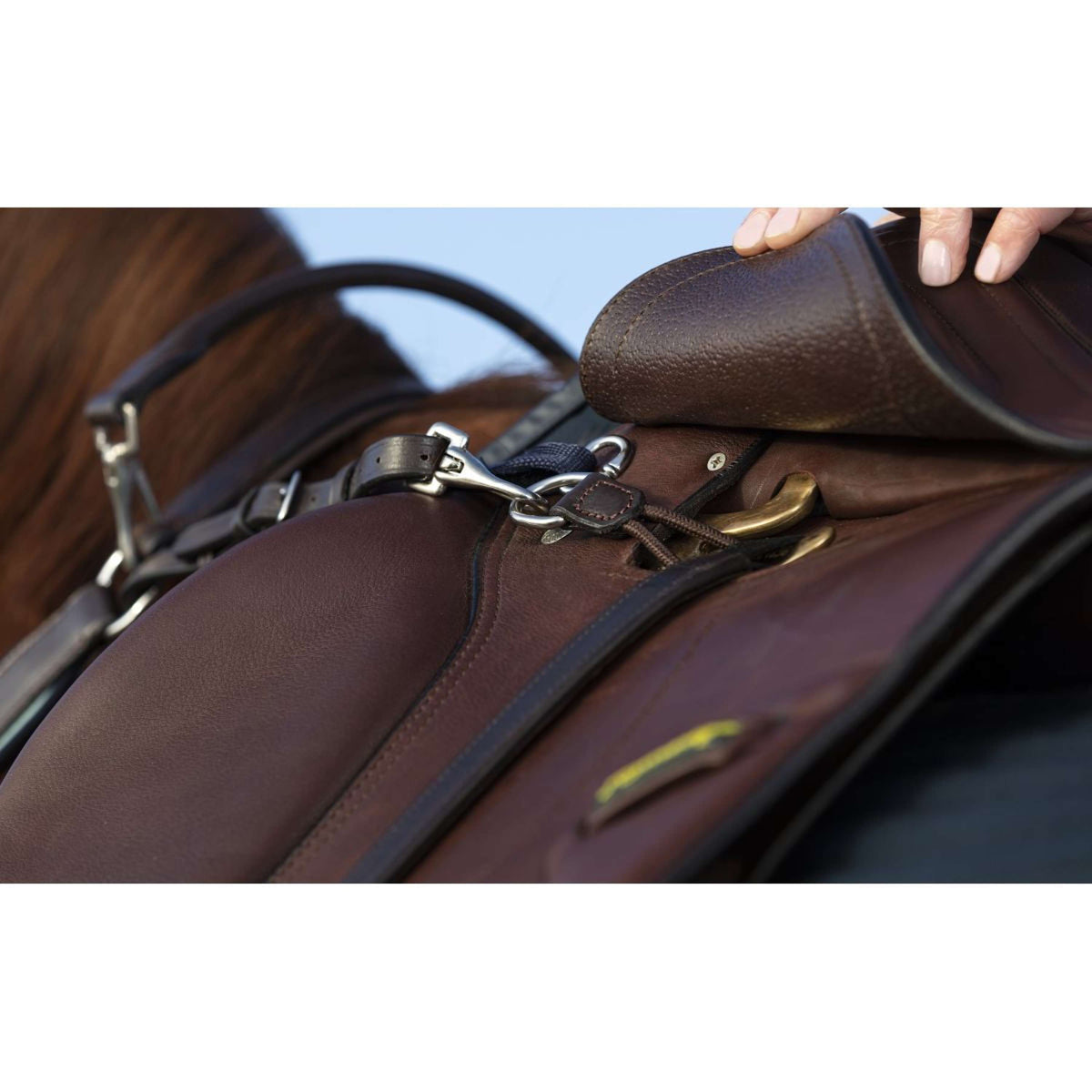 Rambo Micklem Collier de Chasse avec Martingale Marron