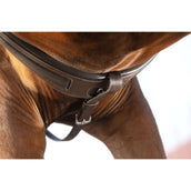 Rambo Micklem Collier de Chasse avec Martingale Marron
