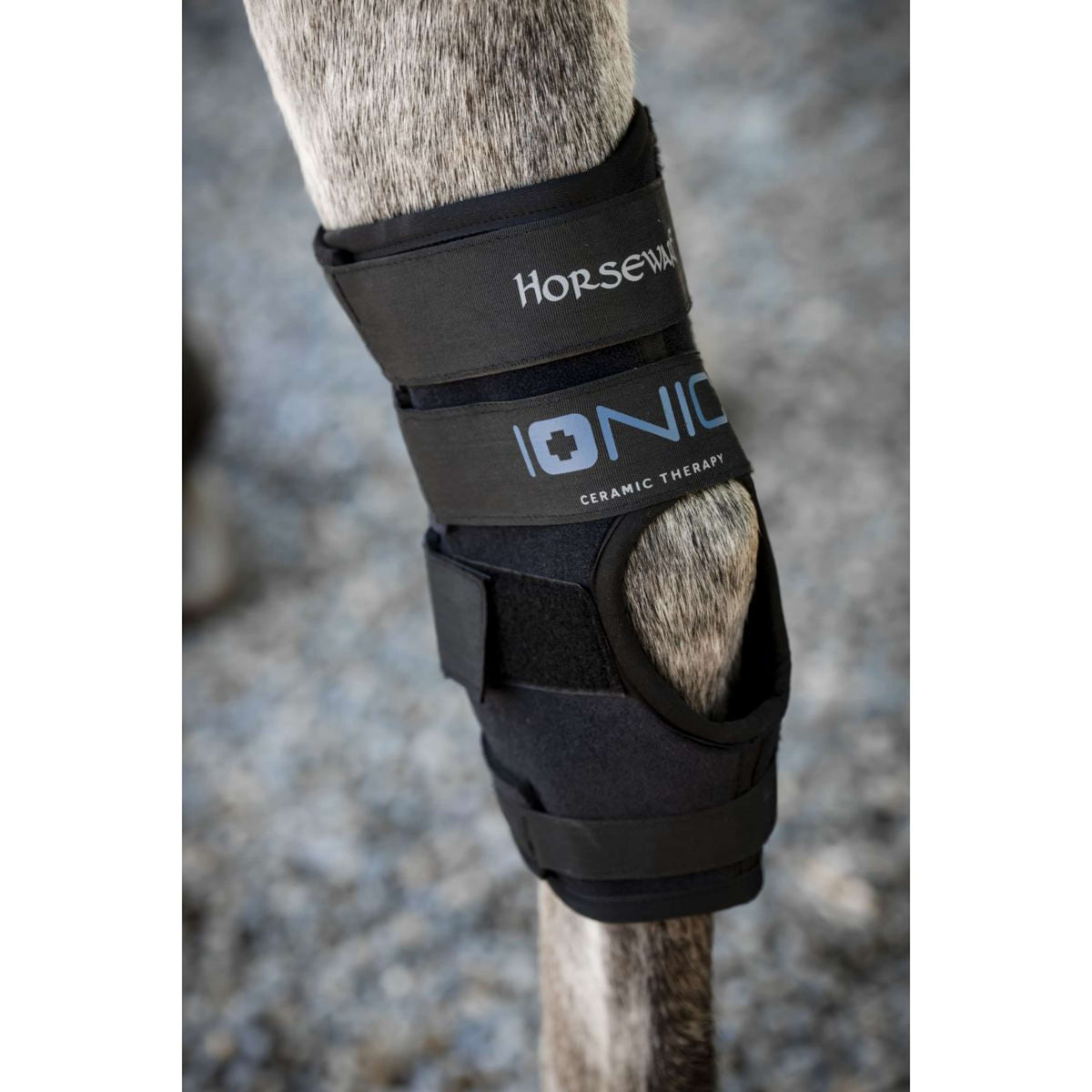 Horseware Hock Boots Ionic Set of 2 Noir