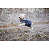 Horseware Ionic Therapy Dog Coat 50g Imperial Blue/Silver/Navy