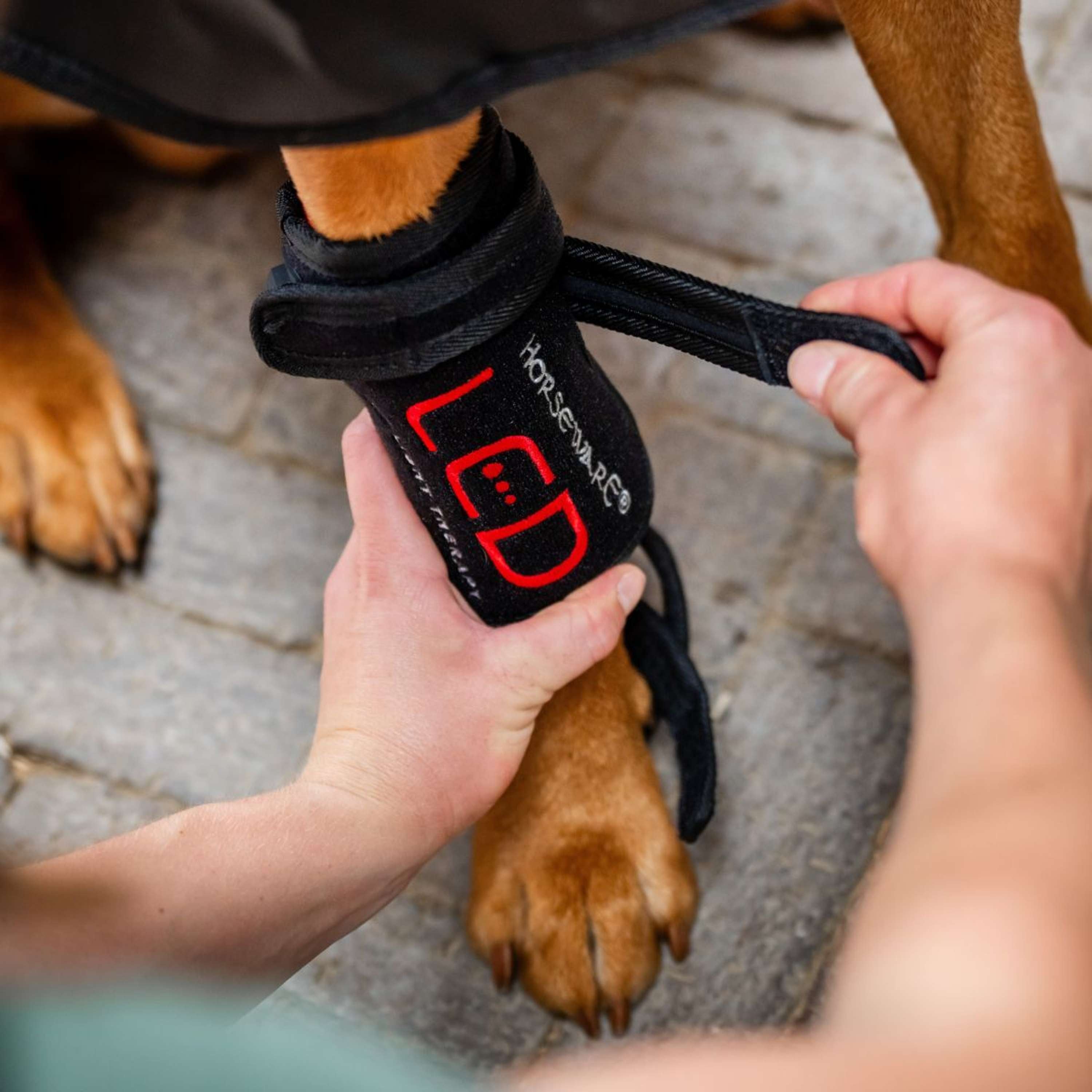 Horseware Pet Leg Wraps LED Red Light Therapy Pair Noir/Noir