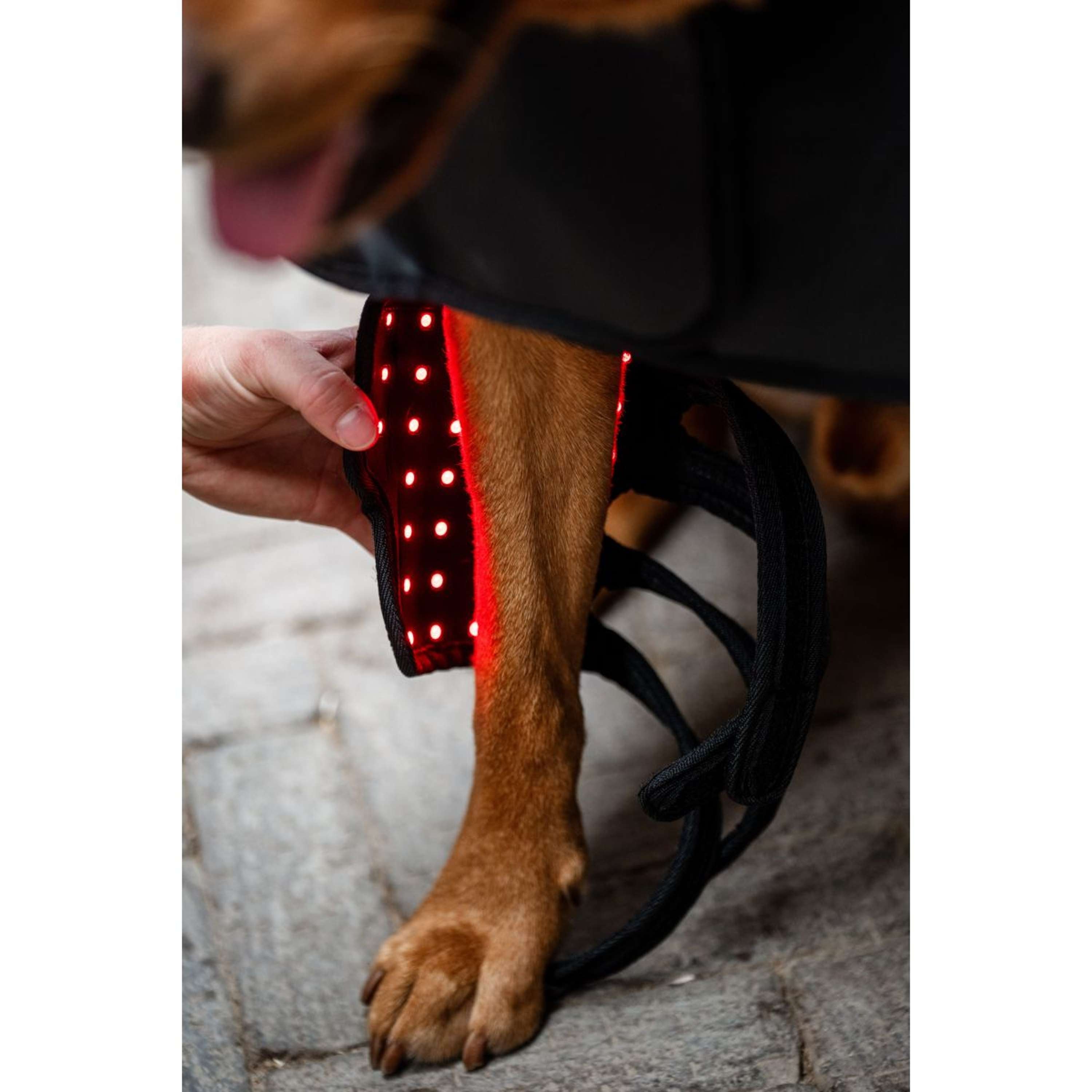 Horseware Pet Leg Wraps LED Red Light Therapy Pair Noir/Noir