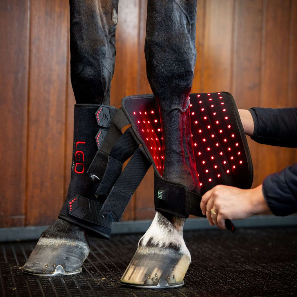 Horseware Leg Wraps LED Red Light Therapy Pair Noir/Noir