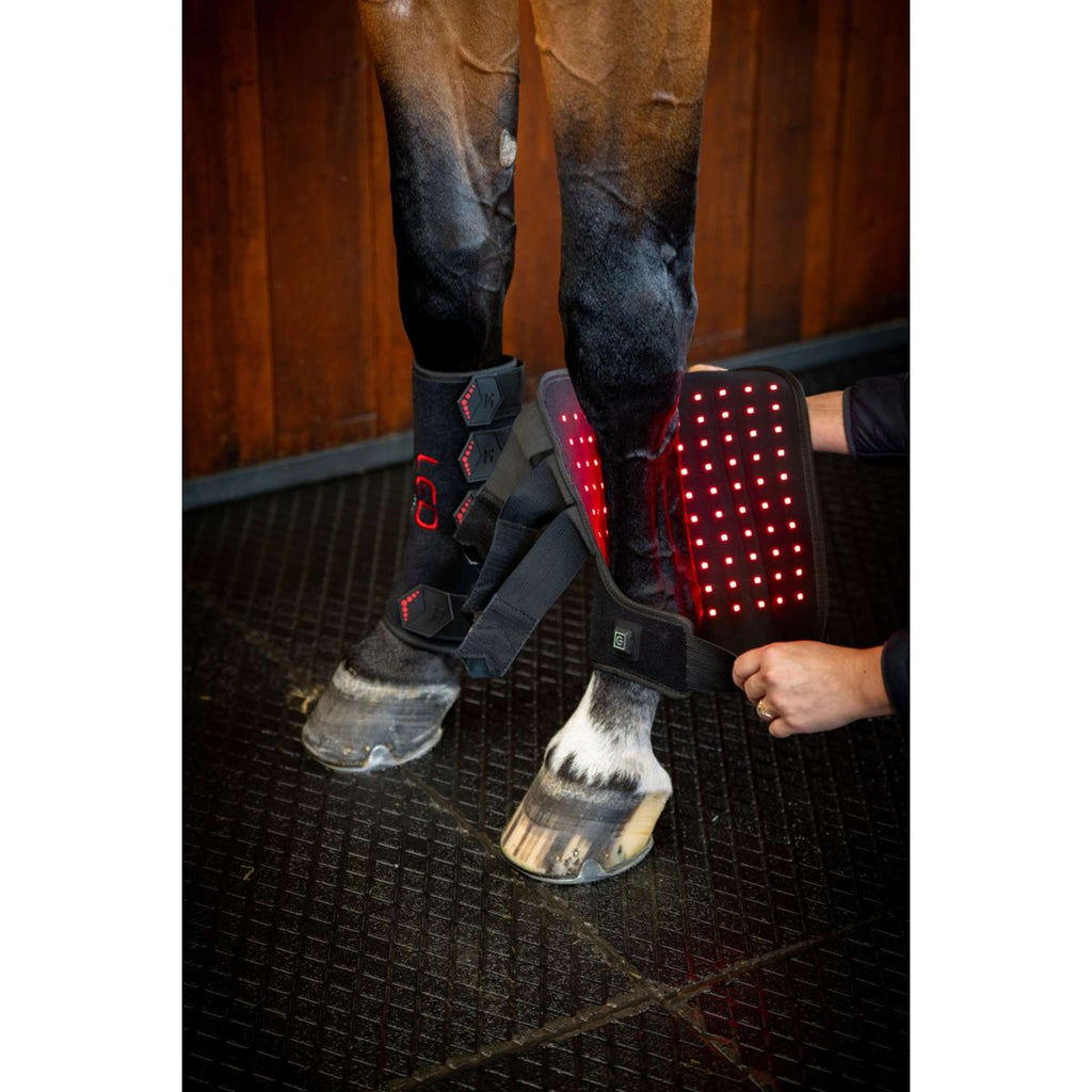 Horseware Leg Wraps LED Red Light Therapy Pair Noir/Noir