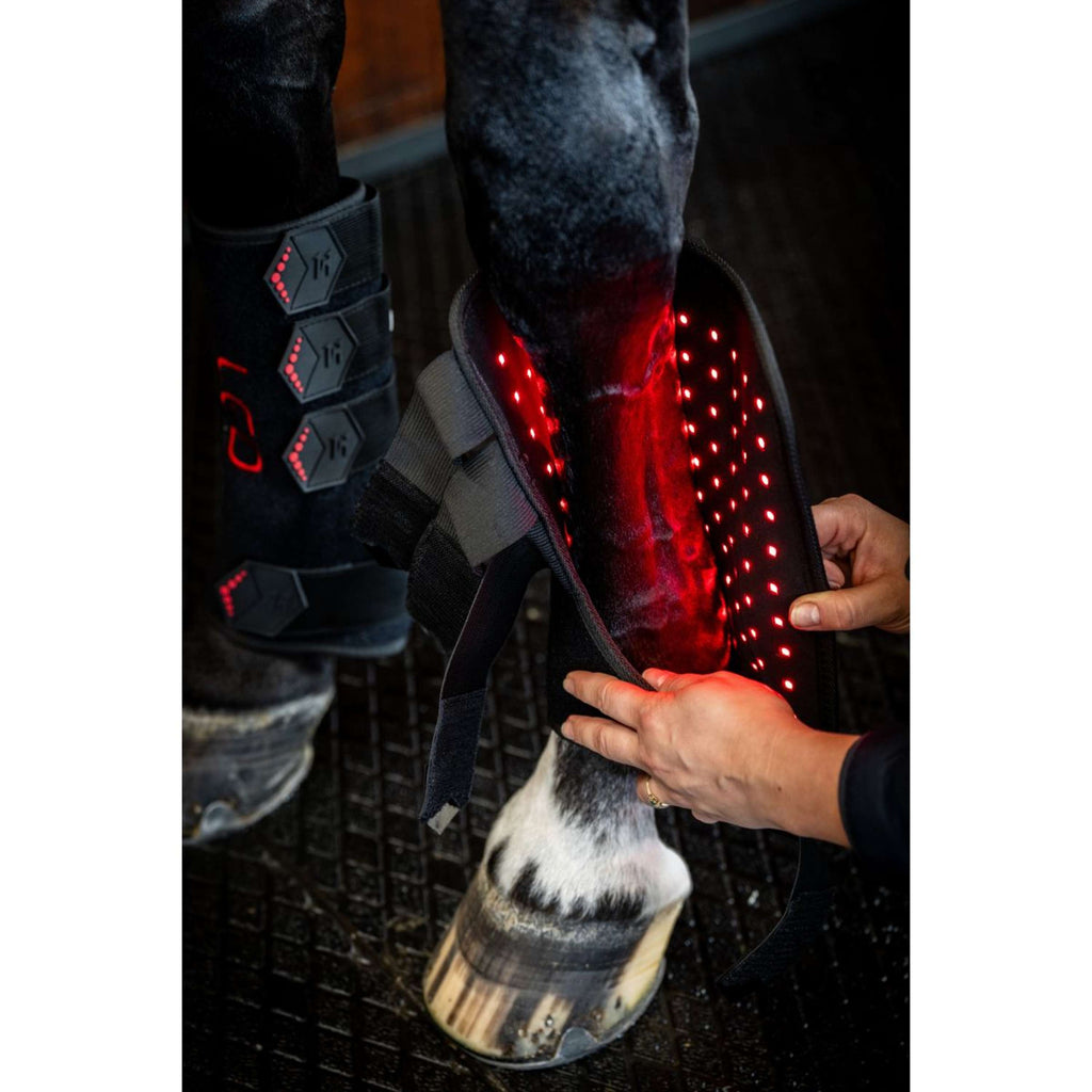Horseware Leg Wraps LED Red Light Therapy Pair Noir/Noir