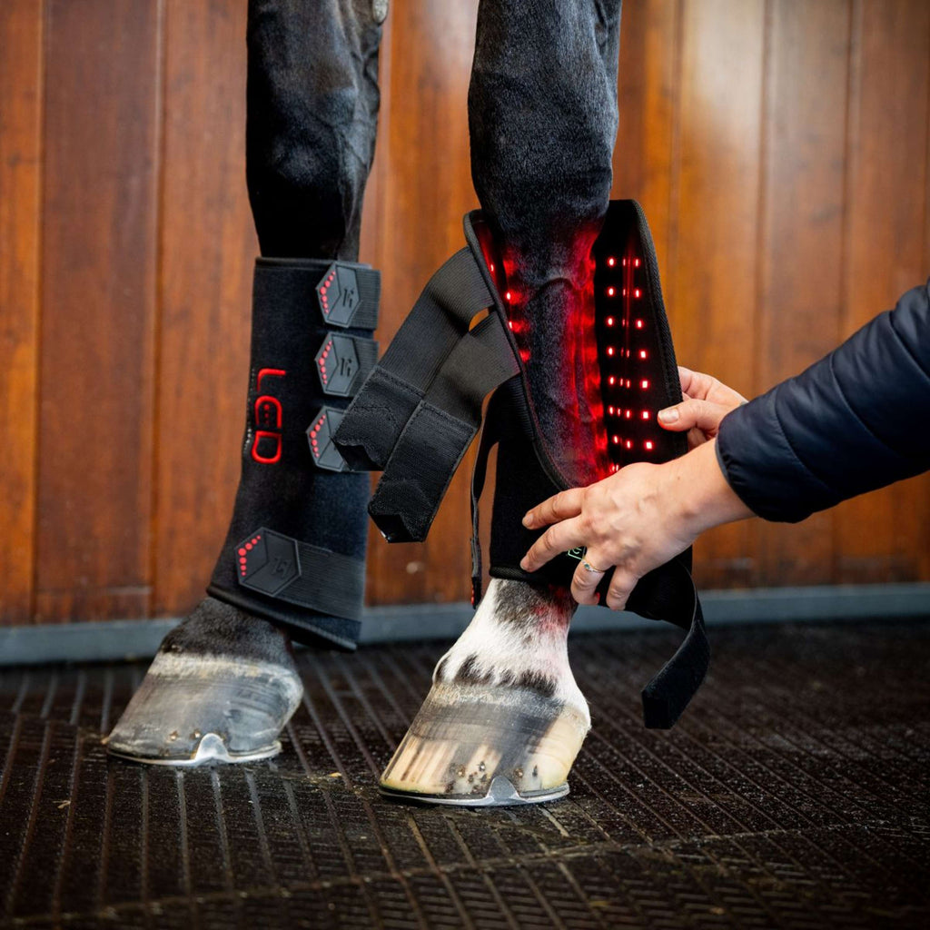 Horseware Leg Wraps LED Red Light Therapy Pair Noir/Noir