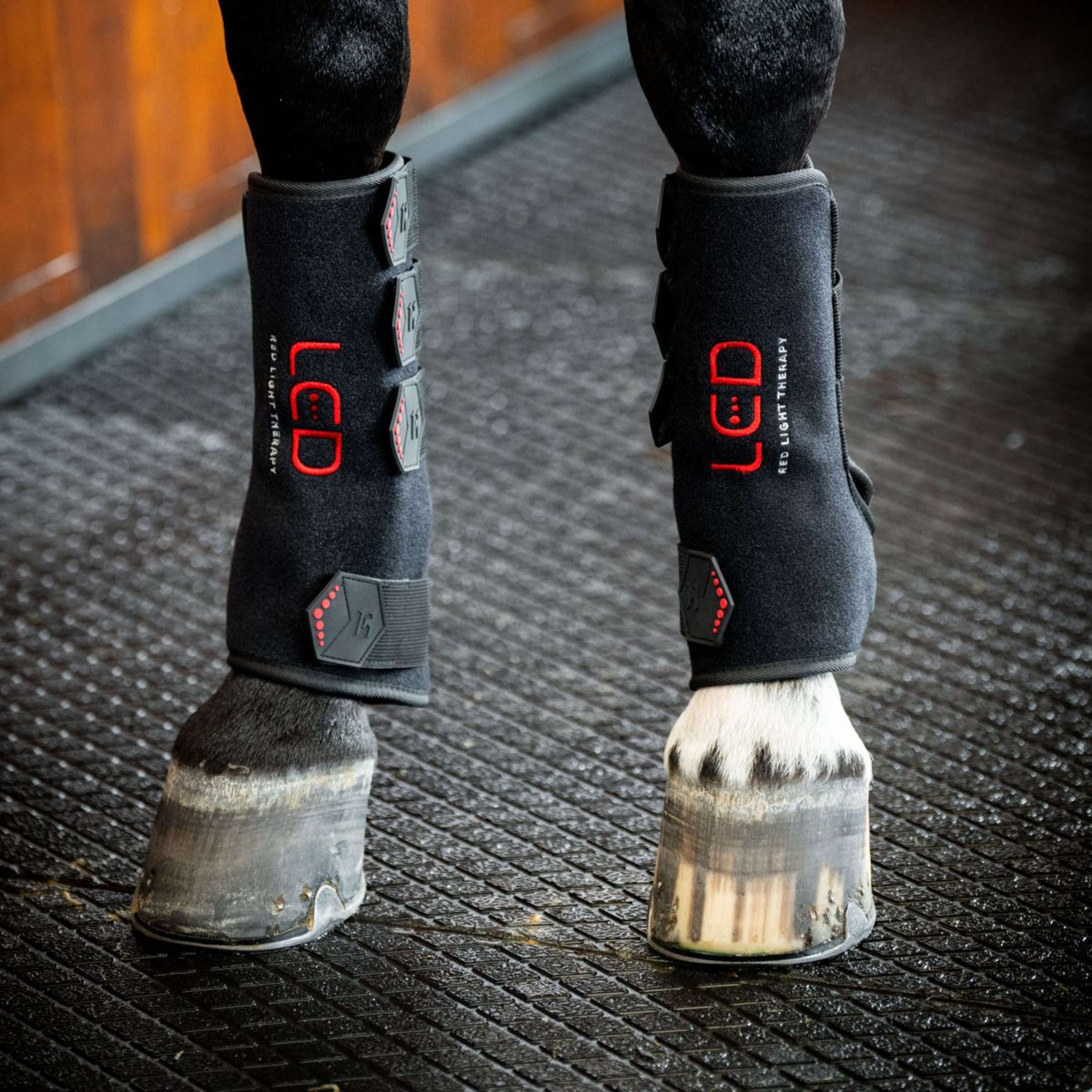 Horseware Leg Wraps LED Red Light Therapy Pair Noir/Noir
