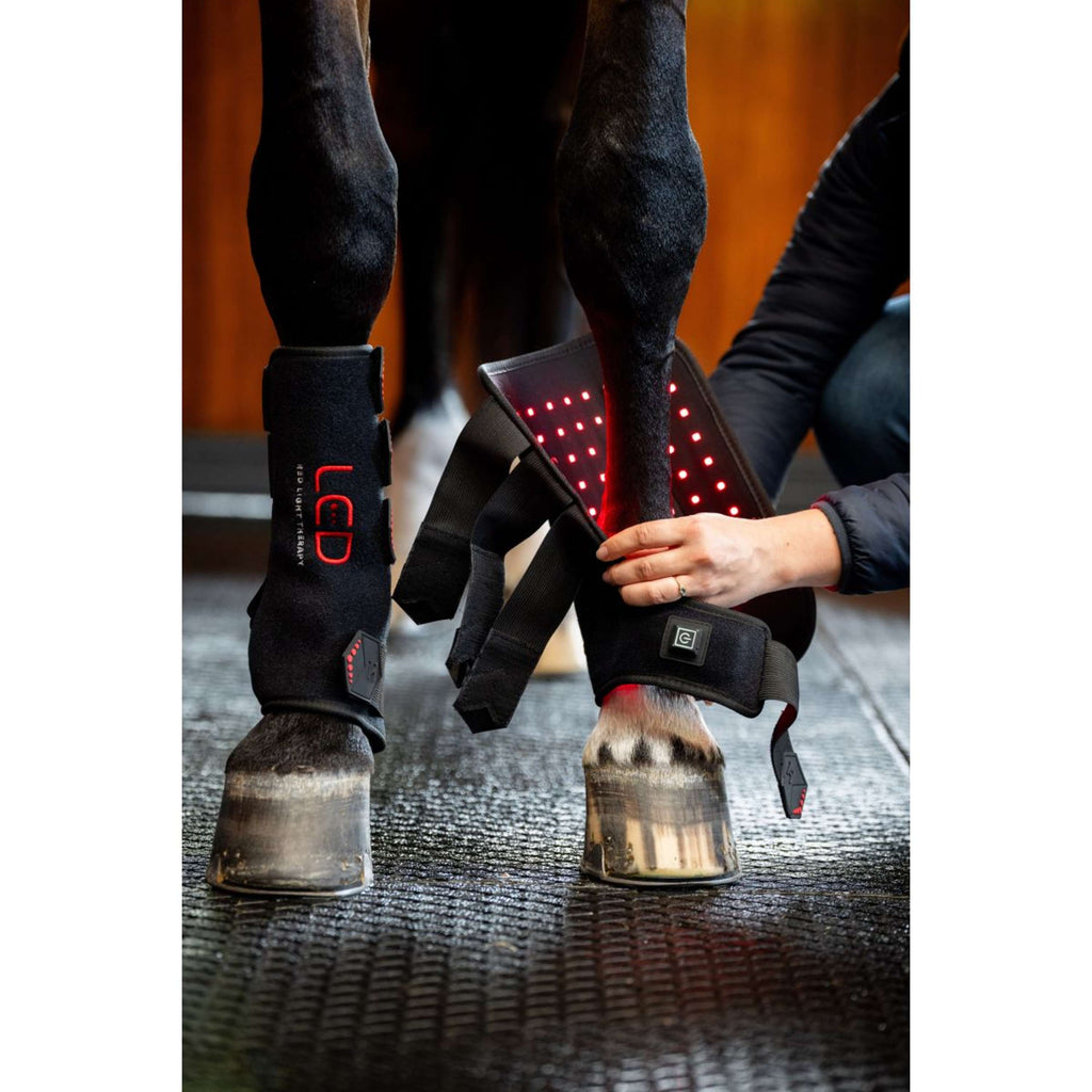 Horseware Leg Wraps LED Red Light Therapy Pair Noir/Noir