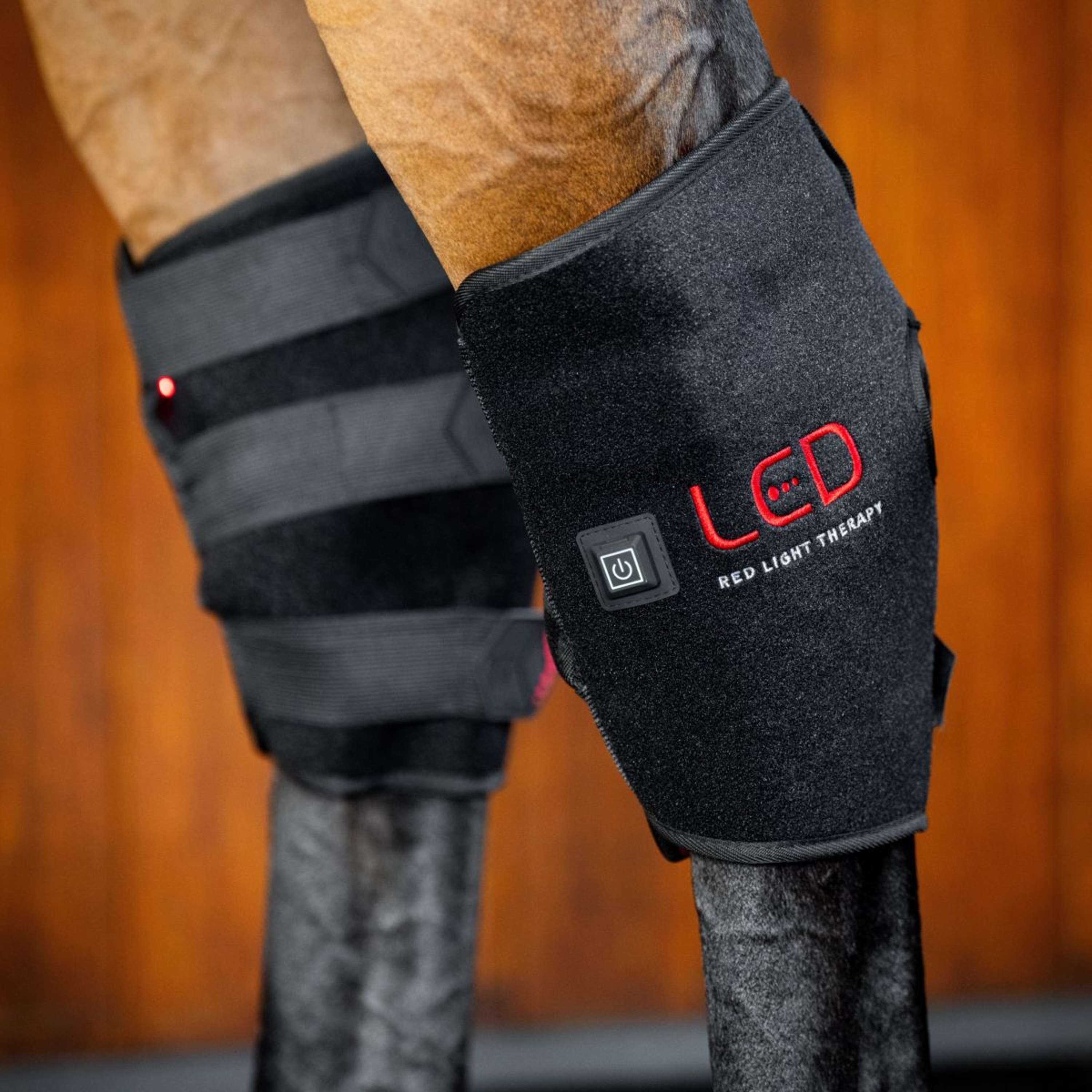 Horseware Hock Boots LED Red Light Therapy Pair Noir/Noir